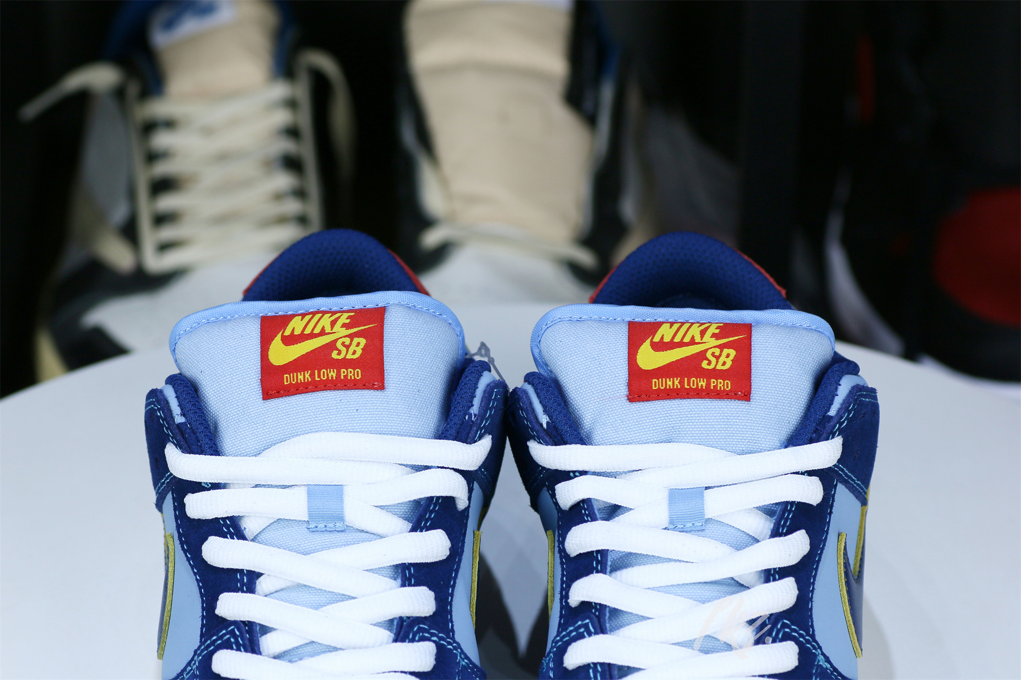 Why So Sad X Dunk Low SB The Predatory Bird