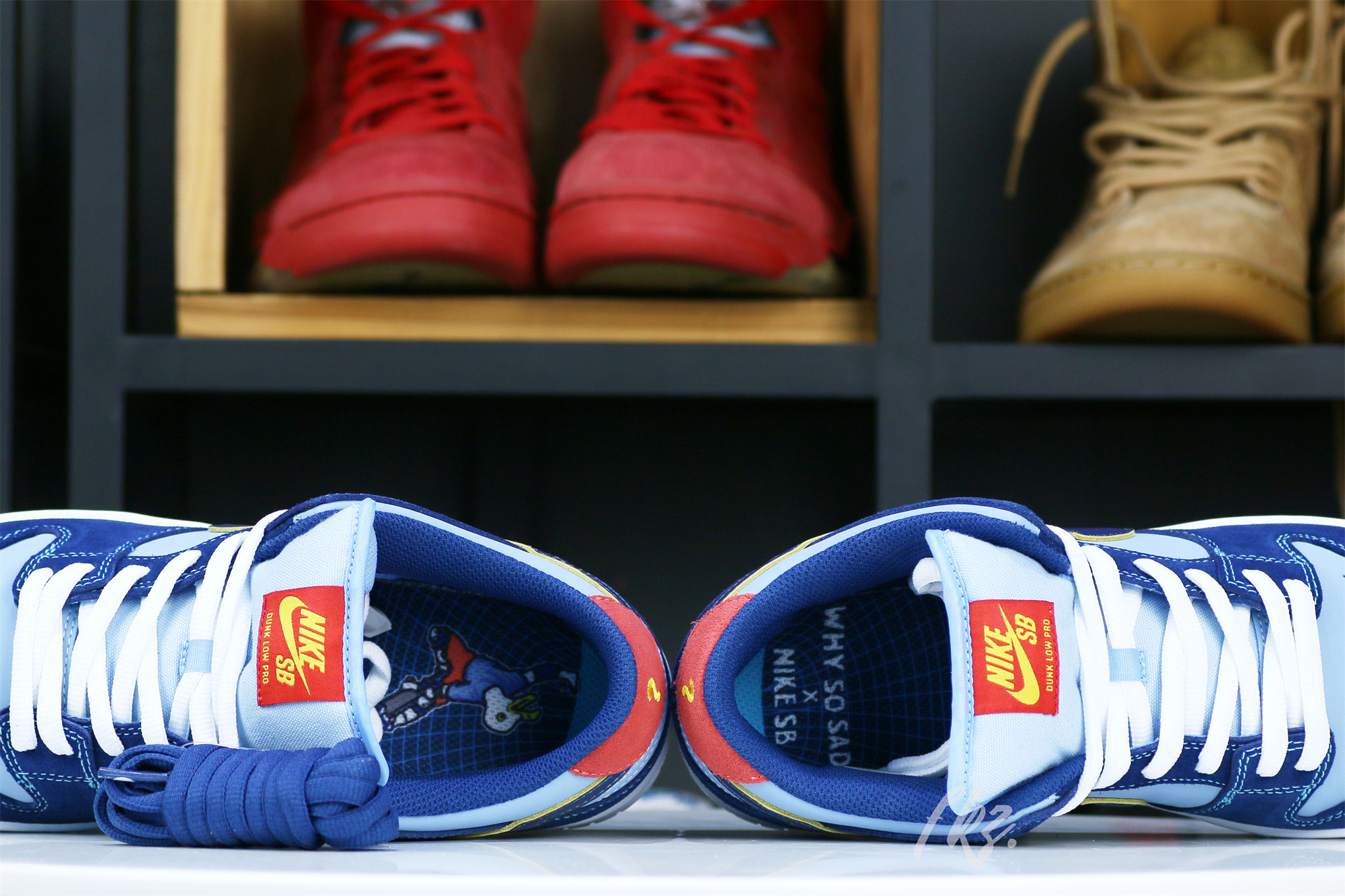 Why So Sad X Dunk Low SB The Predatory Bird