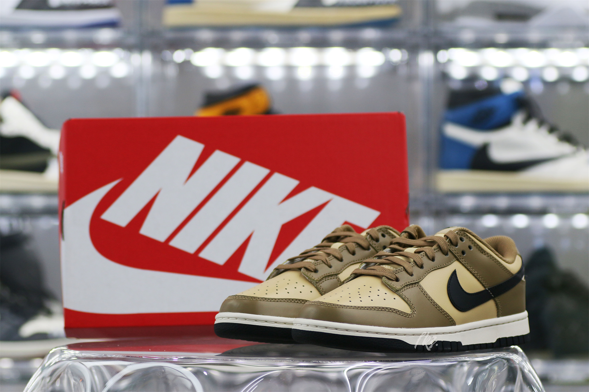 Nike Dunk Low Dark Driftwood (W)