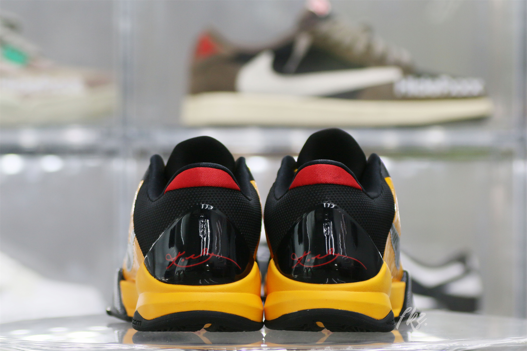 Nike Kobe 5 Protro Bruce Lee (Up to Size 14)(A1 Batch)