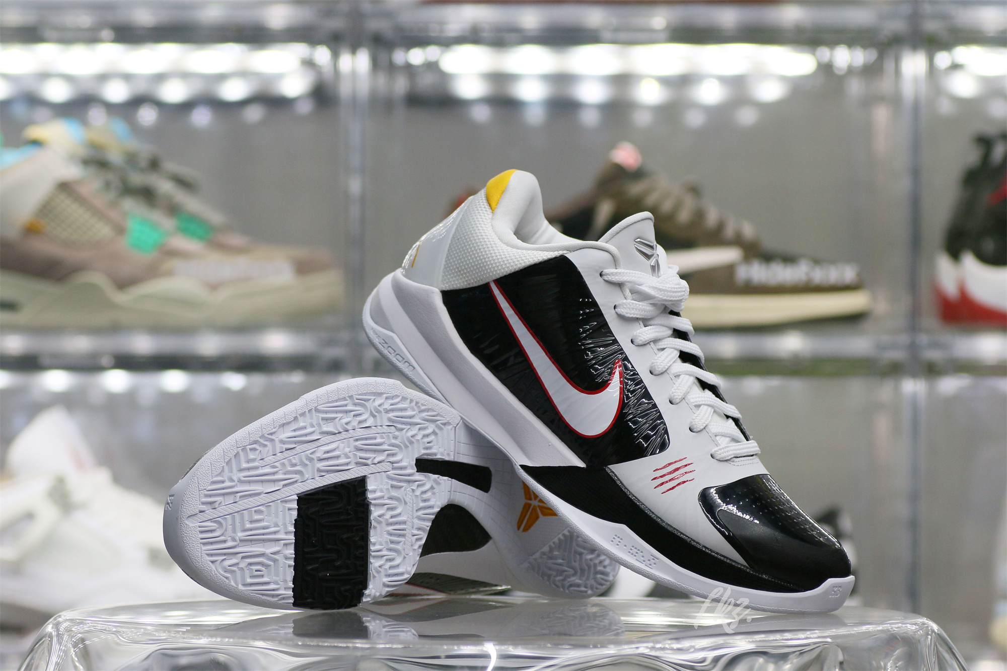 Nike Kobe 5 Protro Bruce Lee Alternate(A1 Batch)