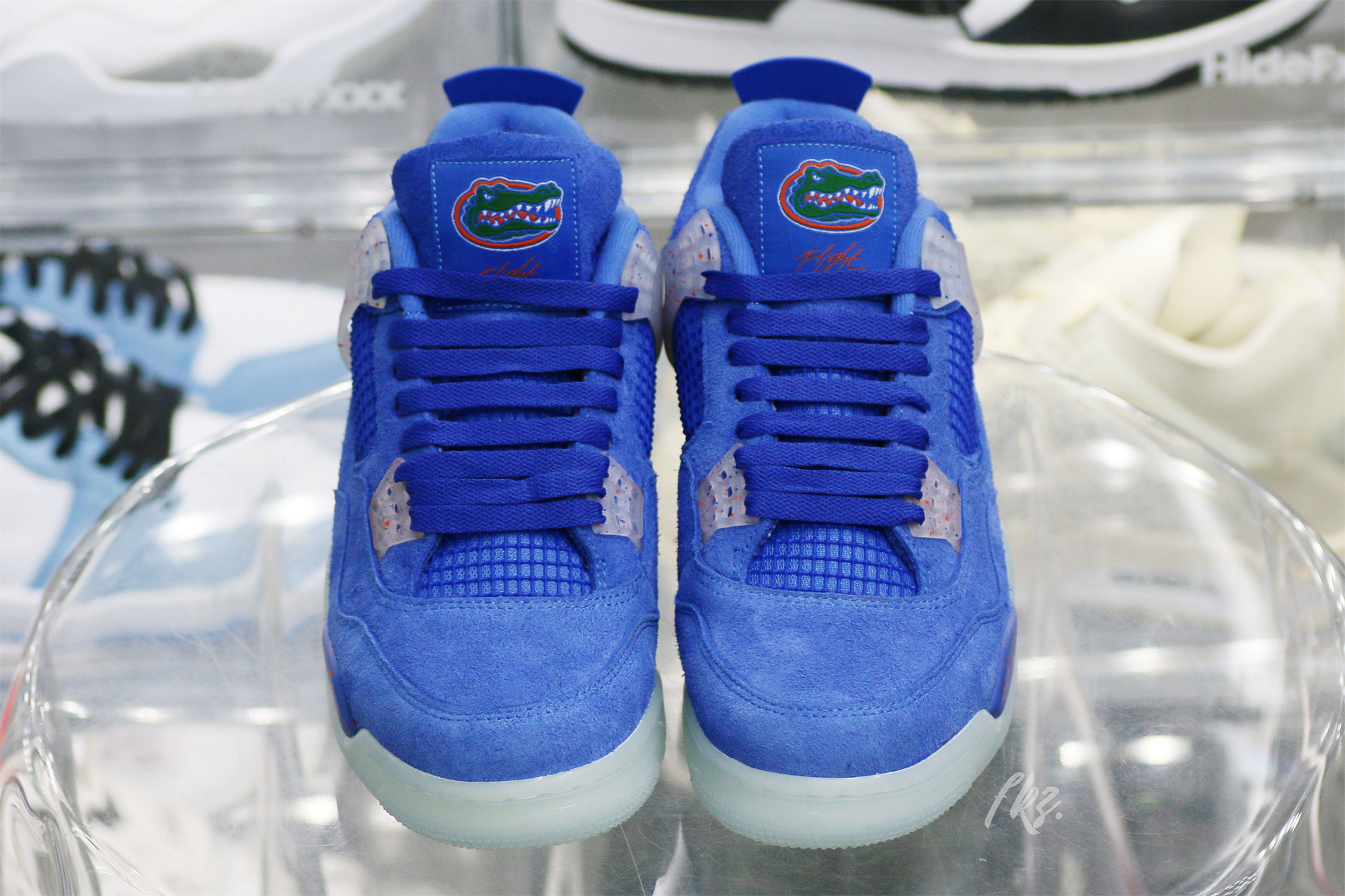 Air Jordan 4 Florida Gators PE