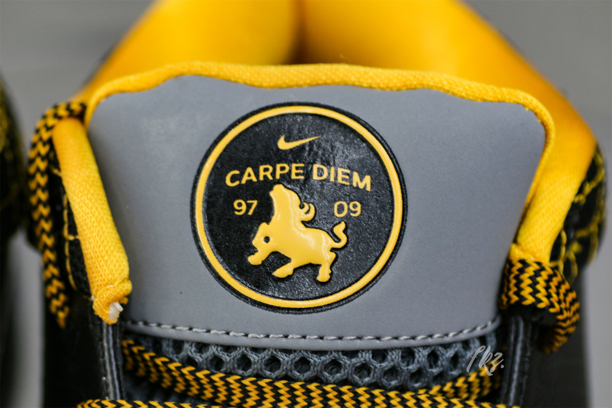 Nike Kobe 4 Protro Carpe Diem(A1 Batch)