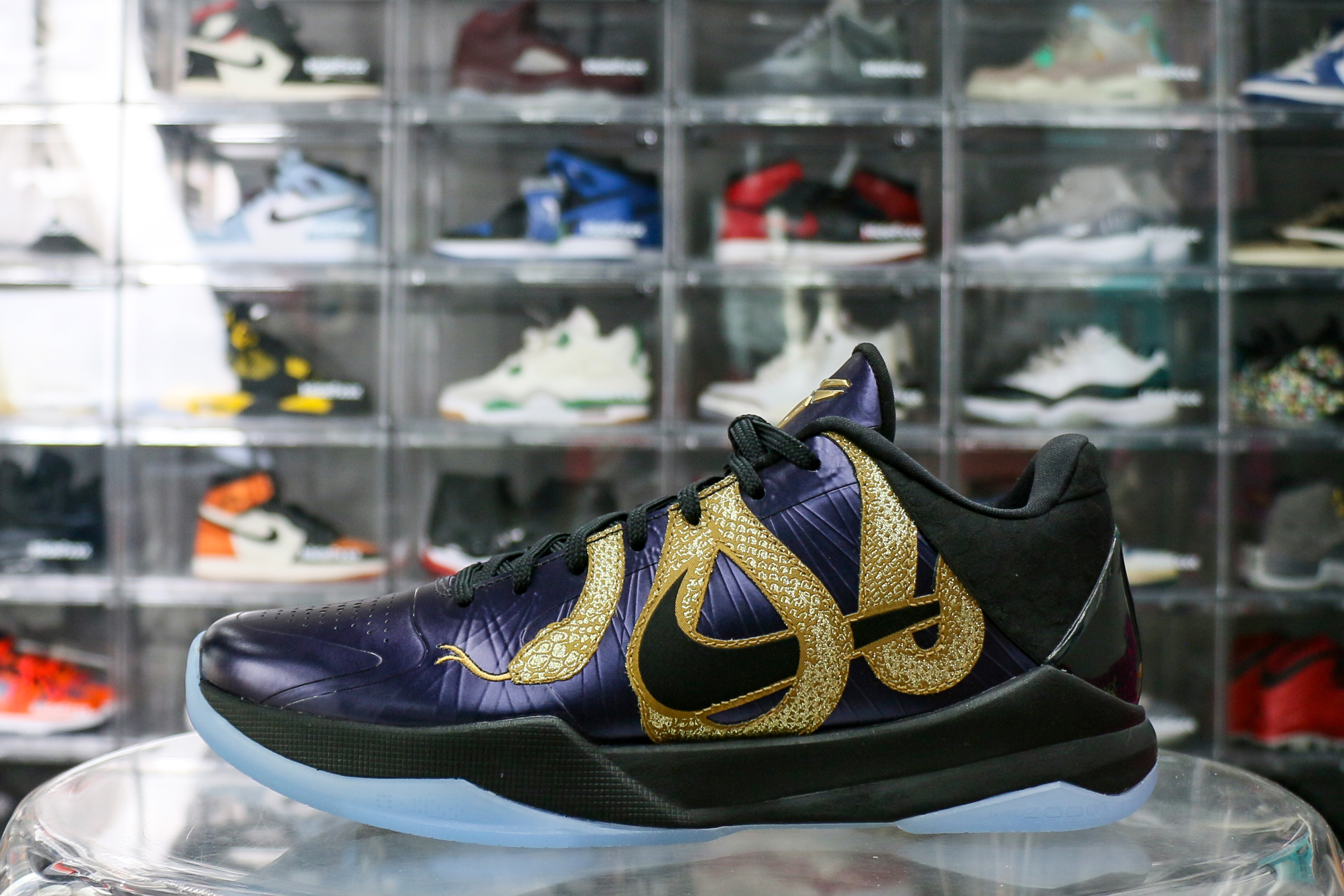 Nike Kobe 5 Protro Year of the Mamba Eggplant 2025（Ln5 A1）