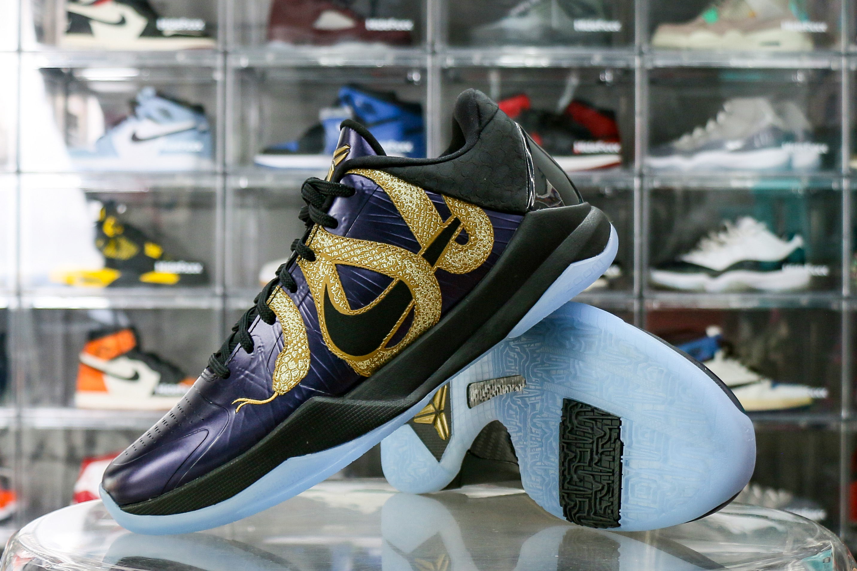 Nike Kobe 5 Protro Year of the Mamba Eggplant 2025（Ln5 A1）